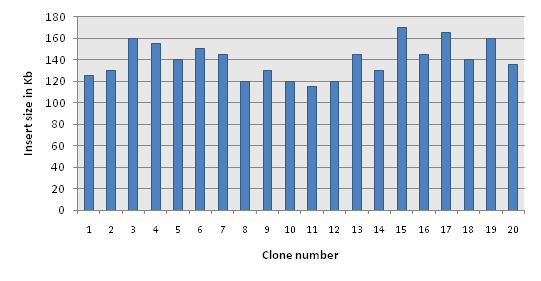 Distribution of clones 